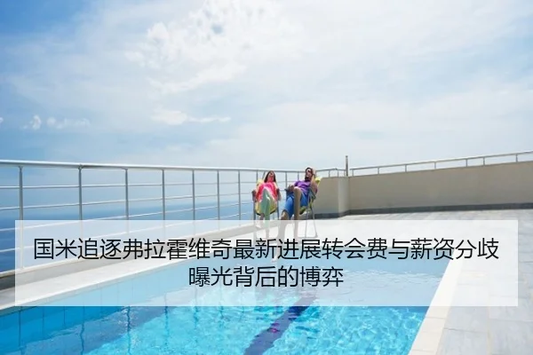 国米追逐弗拉霍维奇最新进展转会费与薪资分歧曝光背后的博弈